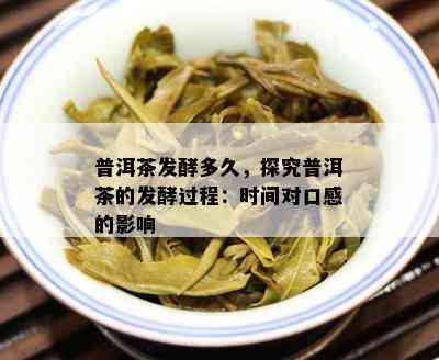 普洱茶发酵多久，探究普洱茶的发酵过程：时间对口感的影响