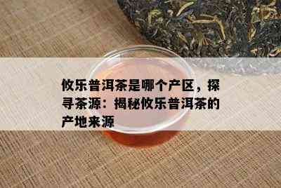 攸乐普洱茶是哪个产区，探寻茶源：揭秘攸乐普洱茶的产地来源