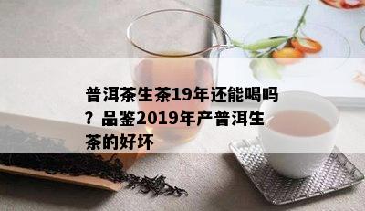 普洱茶生茶19年还能喝吗？品鉴2019年产普洱生茶的好坏