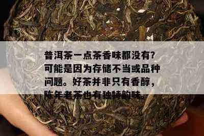 普洱茶一点茶香味都不存在？可能是因为存储不当或品种疑问。好茶并非只有香醇，陈年老茶也有特别韵味。