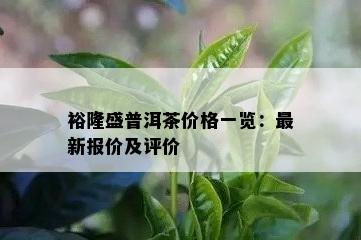 裕隆盛普洱茶价格一览：最新报价及评价