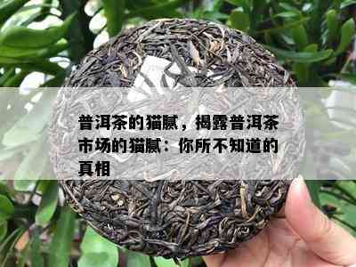 普洱茶的猫腻，揭露普洱茶市场的猫腻：你所不知道的真相