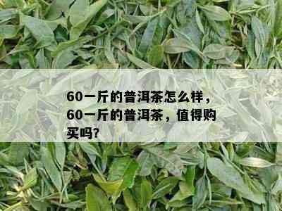 60一斤的普洱茶怎么样，60一斤的普洱茶，值得购买吗？