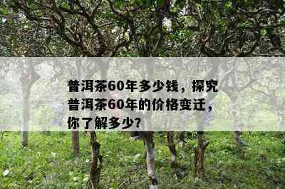 普洱茶60年多少钱，探究普洱茶60年的价格变迁，你熟悉多少？