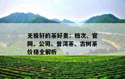 无极轩的茶好贵：档次、官网、公司、普洱茶、古树茶价格全解析