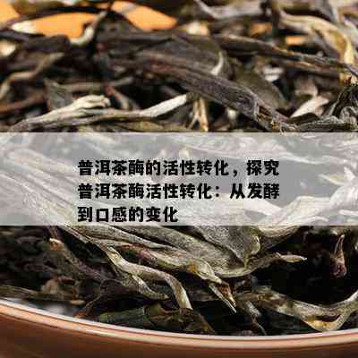 普洱茶酶的活性转化，探究普洱茶酶活性转化：从发酵到口感的变化