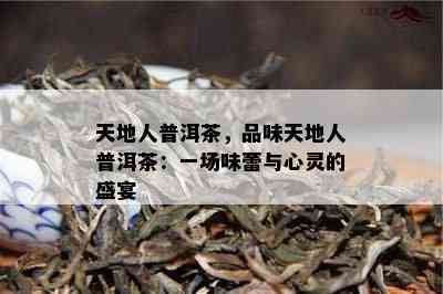 天地人普洱茶，品味天地人普洱茶：一场味蕾与心灵的盛宴