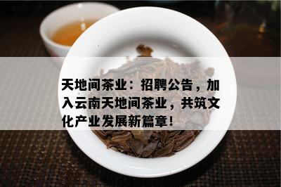 天地间茶业：招聘公告，加入云南天地间茶业，共筑文化产业发展新篇章！