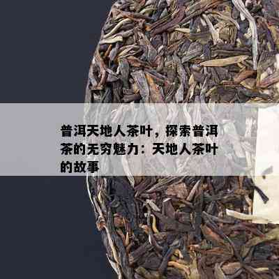 普洱天地人茶叶，探索普洱茶的无穷魅力：天地人茶叶的故事