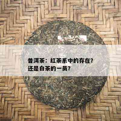 普洱茶：红茶系中的存在？还是白茶的一员？