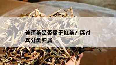 普洱茶是不是属于红茶？探讨其分类归属