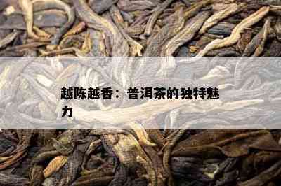 越陈越香：普洱茶的独特魅力