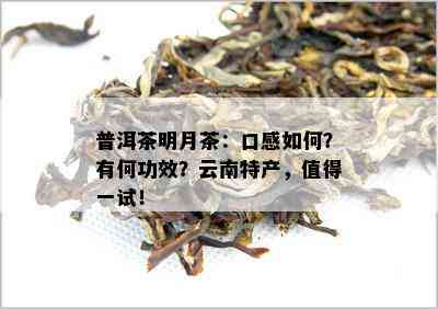 普洱茶明月茶：口感怎样？有何功效？云南特产，值得一试！