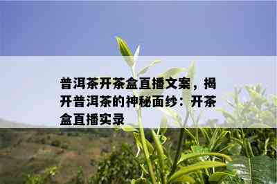 普洱茶开茶盒直播文案，揭开普洱茶的神秘面纱：开茶盒直播实录