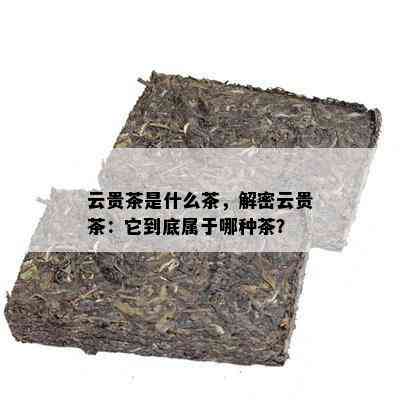 云贵茶是什么茶，解密云贵茶：它到底属于哪种茶？