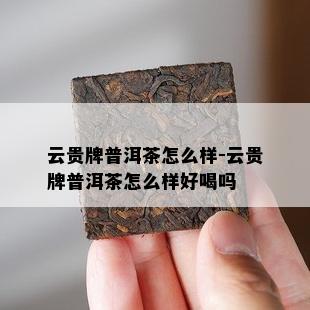 云贵牌普洱茶怎么样-云贵牌普洱茶怎么样好喝吗