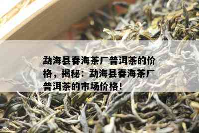 勐海县春海茶厂普洱茶的价格，揭秘：勐海县春海茶厂普洱茶的市场价格！