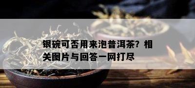 银碗可否用来泡普洱茶？相关图片与回答一网打尽