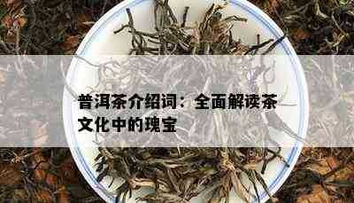 普洱茶介绍词：全面解读茶文化中的瑰宝