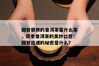 回甘很快的普洱茶是什么茶，探索普洱茶的美妙口感：回甘迅速的秘密是什么？