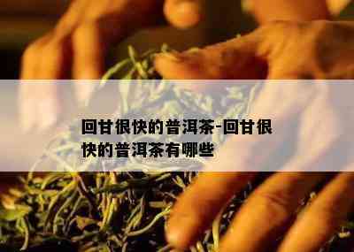 回甘很快的普洱茶-回甘很快的普洱茶有哪些