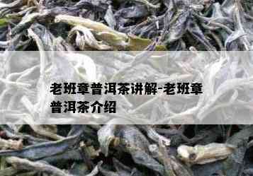 老班章普洱茶讲解-老班章普洱茶介绍