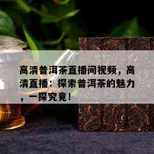 高清普洱茶直播间视频，高清直播：探索普洱茶的魅力，一探究竟！