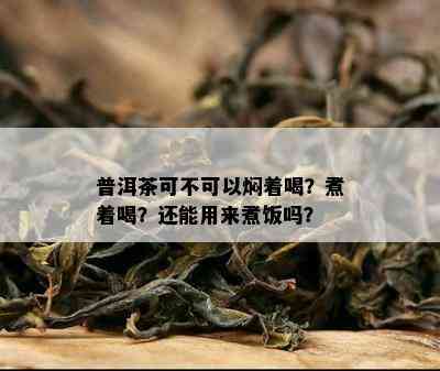 普洱茶可不可以焖着喝？煮着喝？还能用来煮饭吗？