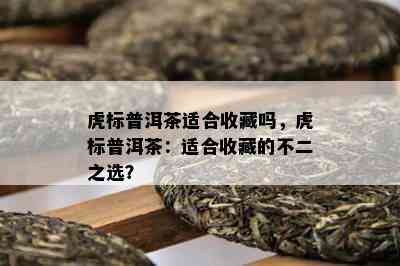 虎标普洱茶适合收藏吗，虎标普洱茶：适合收藏的不二之选？