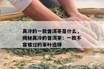 高冷的一款普洱茶是什么，揭秘高冷的普洱茶：一款不容错过的茶叶选择