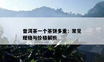 普洱茶一个茶饼多重：常见规格与价格解析