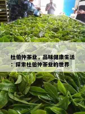 杜伯仲茶业，品味健康生活：探索杜伯仲茶业的世界