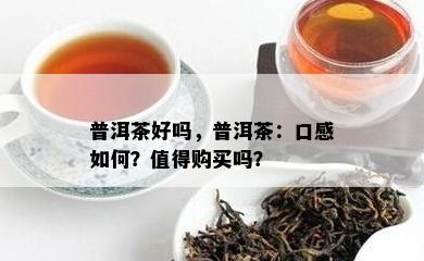 普洱茶好吗，普洱茶：口感如何？值得购买吗？