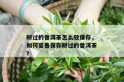 掰过的普洱茶怎么放保存，怎样妥善保存掰过的普洱茶？