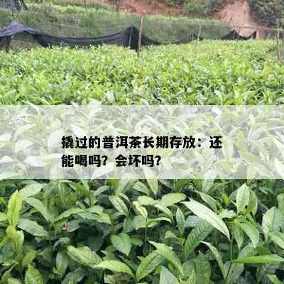 撬过的普洱茶长期存放：还能喝吗？会坏吗？