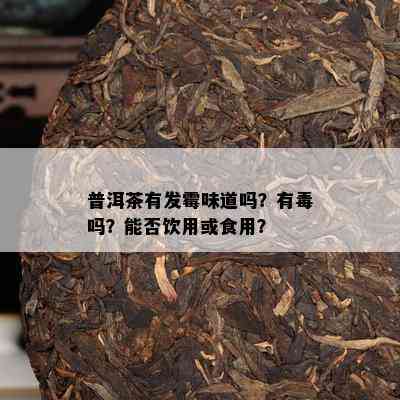 普洱茶有发霉味道吗？有吗？能否饮用或食用？