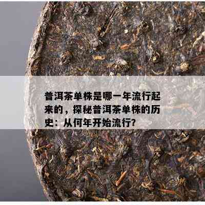 普洱茶单株是哪一年流行起来的，探秘普洱茶单株的历史：从何年开始流行？