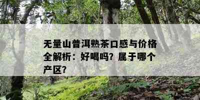 无量山普洱熟茶口感与价格全解析：好喝吗？属于哪个产区？