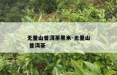 无量山普洱茶黑米-无量山 普洱茶