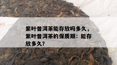 紫叶普洱茶能存放吗多久，紫叶普洱茶的保质期：能存放多久？