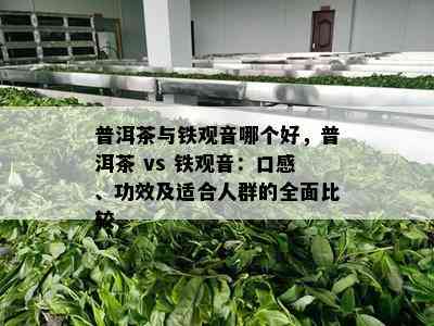 普洱茶与铁观音哪个好，普洱茶 vs 铁观音：口感、功效及适合人群的全面比较