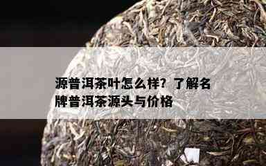 源普洱茶叶怎么样？熟悉名牌普洱茶源头与价格