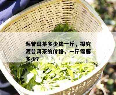 源普洱茶多少钱一斤，探究源普洱茶的价格，一斤需要多少？