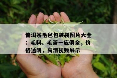 普洱茶毛毡包装袋图片大全：毛料、毛茶一应俱全，价格透明，高清视频展示