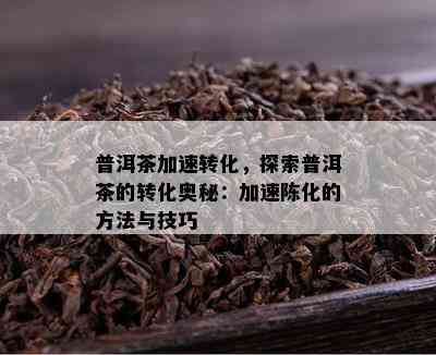 普洱茶加速转化，探索普洱茶的转化奥秘：加速陈化的方法与技巧