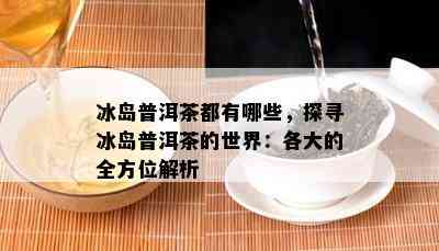 冰岛普洱茶都有哪些，探寻冰岛普洱茶的世界：各大的全方位解析