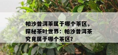 帕沙普洱茶属于哪个茶区，探秘茶叶世界：帕沙普洱茶究竟属于哪个茶区？