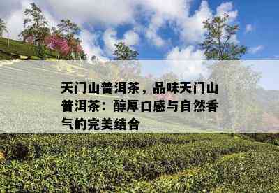 天门山普洱茶，品味天门山普洱茶：醇厚口感与自然香气的完美结合