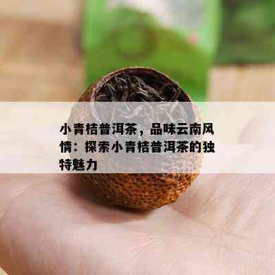 小青桔普洱茶，品味云南风情：探索小青桔普洱茶的独特魅力