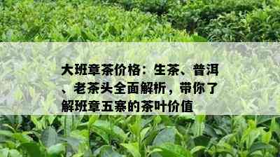 大班章茶价格：生茶、普洱、老茶头全面解析，带你熟悉班章五寨的茶叶价值